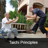 Taichi principles